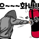 힛포 이미지