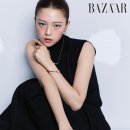 정연