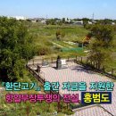단군나라 이미지