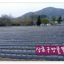 봄뜰에농장 이미지