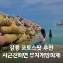 미니스톱 강릉경포오션점 | 강릉 가볼만한곳 사근진해변 무지개 방파제 포토존 주차 근처 카페 추천