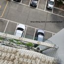 비둘기2길 이미지