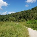 안기천로 이미지