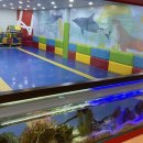 용인대 YTA 태권도장 이미지