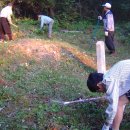 시용(時鎔) 이미지