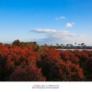 동백호텔 이미지