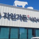 자인가든 이미지