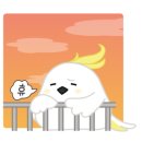 레인보우 앵무 이미지