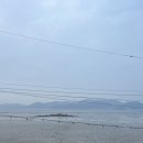 지니 풀빌라 | 태안 풀빌라 아이랑 미타임 풀빌라 내돈내산 후기