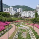 백운힐링밸리