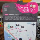 마포, 걷고싶은길 6코스 | [12월 13일 (토요일)]마포 걷고싶은길 6코스 망원한강길 (합정역 8 - 망원역 2) 5.0 Km 트래킹