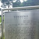 52.충주. 임경업 장군의 묘. 이미지