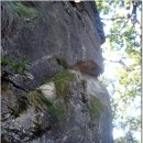 문산1리 이미지