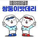 자동차배터리출장교체.할인점 이미지