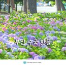송림공원 건너 이미지