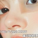 블리채 네이버블로그