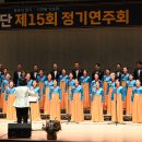 정기연주회 헤럴드경제