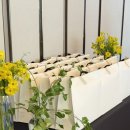 세영팰리스 이미지