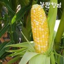 농업회사법인 세양(주)