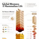 전 세계 포유류의 바이오매스 시각화 이미지
