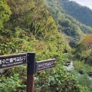 섬목 관음도 이미지