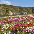 도담행복마을 이미지