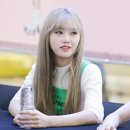 미현 Daum카페