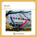 가람관광여행사 - 포항시 남구 대이로 47 | [2026 산사 2] 가람모꼬지-신안사