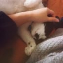 고양이정원 - 강서구 개화동로19길 18 | 고양이정원