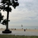 송림공원 내 이미지