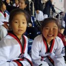 올림픽석사태권도 이미지