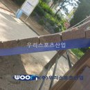 사동초등학교 이미지