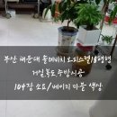 솔레비치오피스텔 네이버블로그