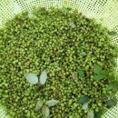 자연을 노래하다 이미지