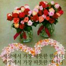 백신경외과정형외과의원 이미지