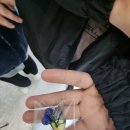 로마피어싱 네이버블로그