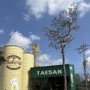 무안-7 | 베이커리 태산 무안 대형카페 애견동반