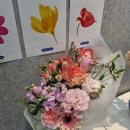 디그먼트 이미지