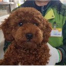 계룡주유소 이미지