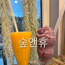 숲앤휴 이미지