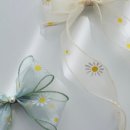 스테이 레브 이미지