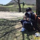 영우목장 이미지