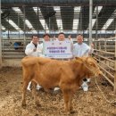 경기도축산진흥센터 이미지