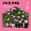 온누리자동차정비 | 📬고대앞 우체통 151호(3월 4주 차)