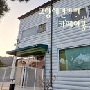 고양애견카페 카페애몽 방문 후기