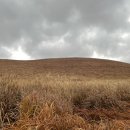 대평목장 이미지