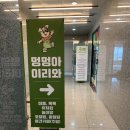 멍멍아 또 와 | 호텔링도 잘하는 대구애견카페 멍멍아 이리와