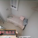 스테이파르크