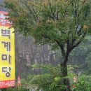 장어본부 이미지