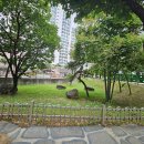 사월동 지석묘군 이미지